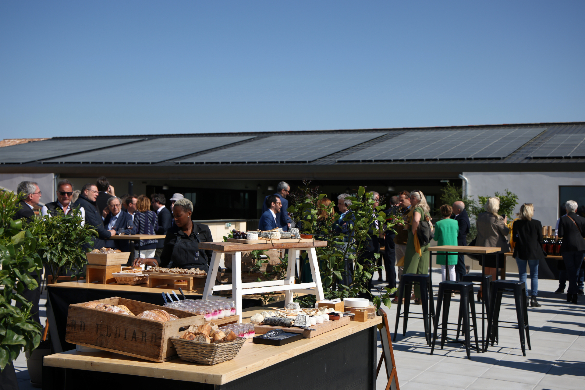 cocktail apéritif champêtre lors de l'événement d'inauguration des Vignobles de Larose - engagement RSE - réalisé par Agence Kulte